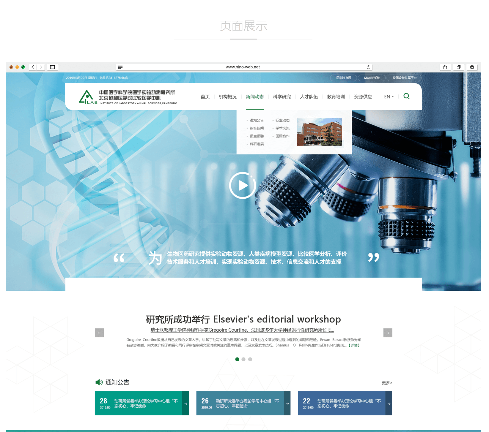 生物医药网站建设的步骤会很复杂吗？